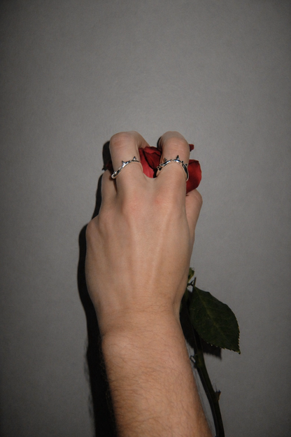 Every Rose Has its Thorn