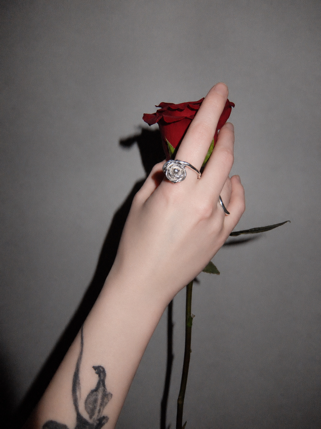 Roses Bloom For You