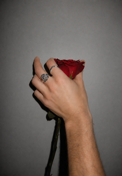 Every Rose Has its Thorn